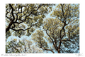 Her Light — original photography print