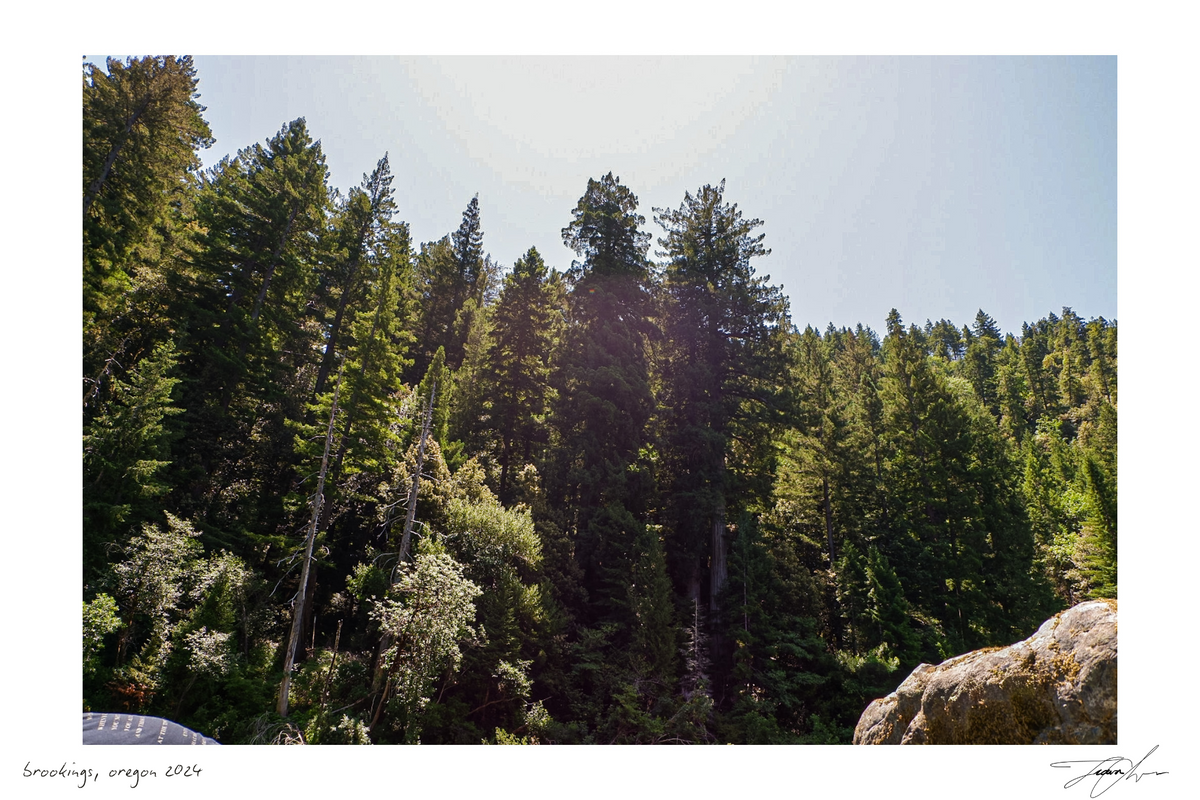The Third Day — original photography print
